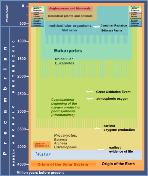 Great Oxygenation Event